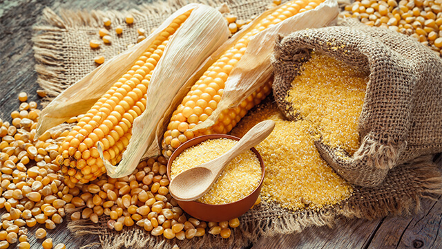 Corn groats and seeds corncobs on wooden rustic table