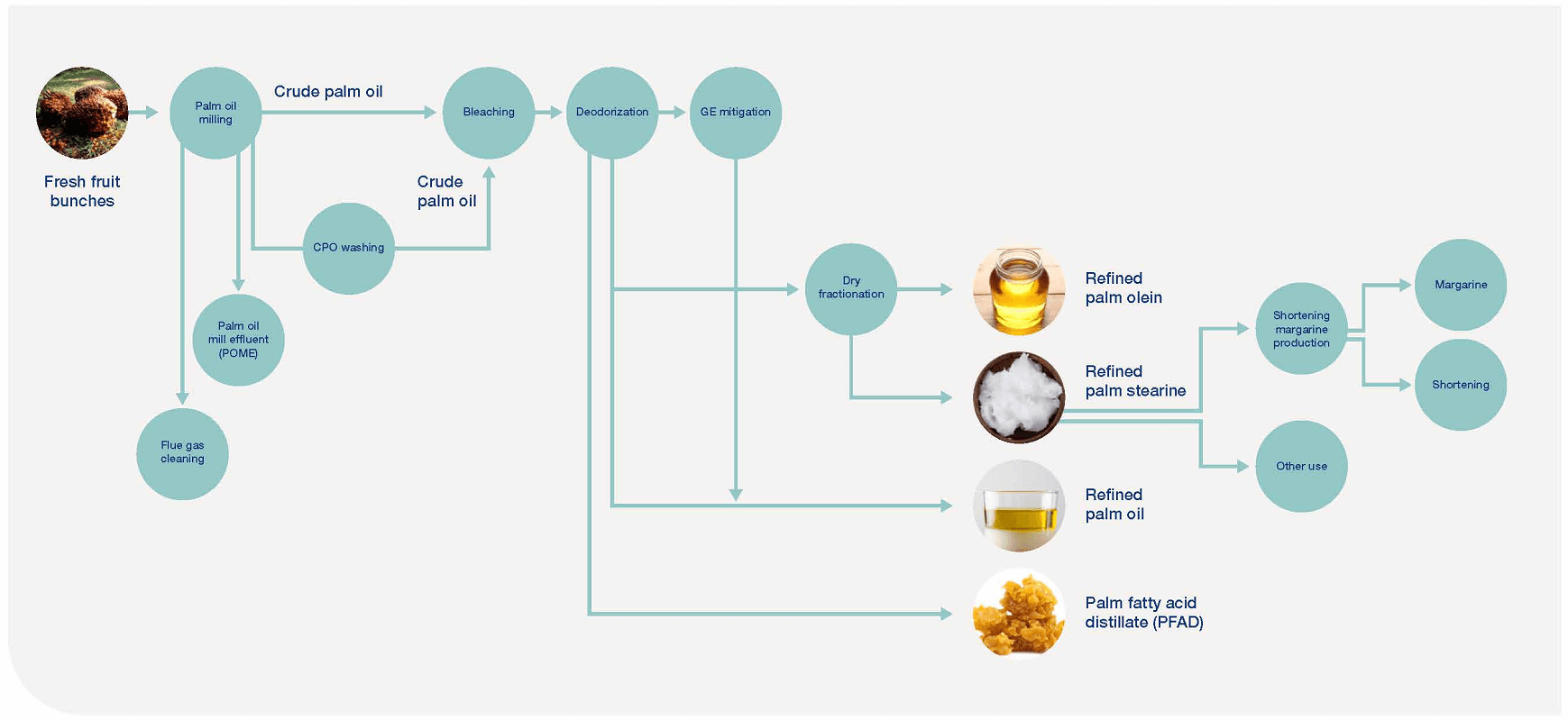 Palm oil refining process chart