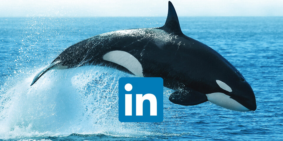 LinkedIn 960x480