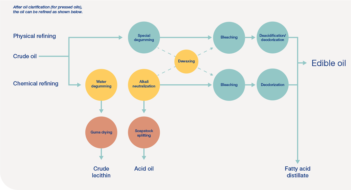 Seed-and-palm-oil_140121.png