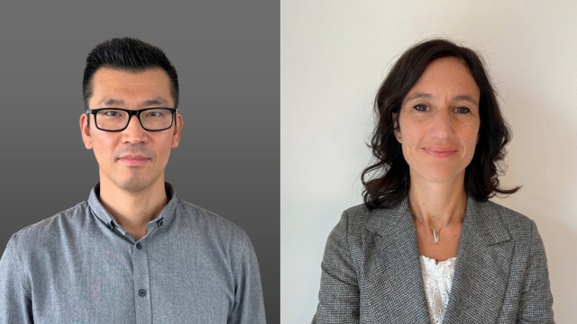 David Nicoletta blog